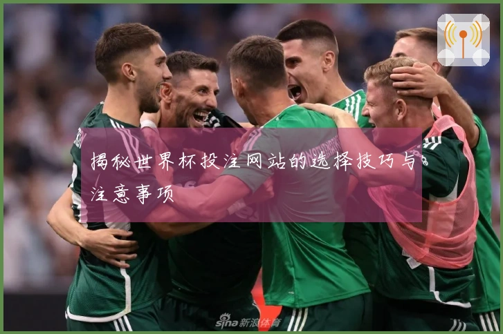 揭秘世界杯投注网站的选择技巧与注意事项