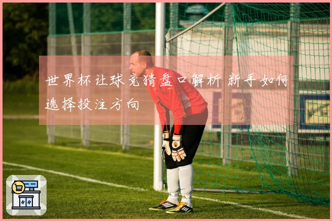 世界杯让球竞猜盘口解析 新手如何选择投注方向